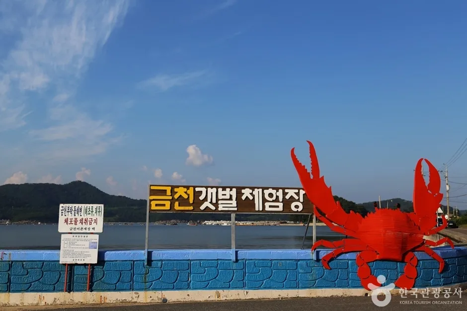 경남_남해_남해금천갯벌체험장 (1)